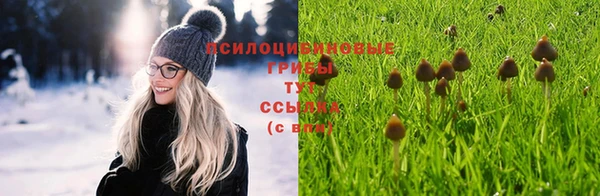 метадон Абинск