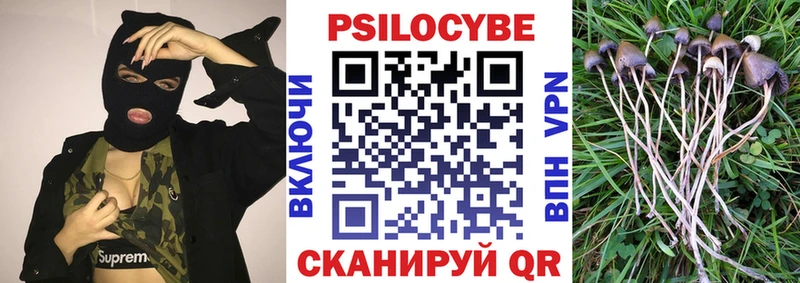 Галлюциногенные грибы ЛСД дарк нет телеграм Сысерть